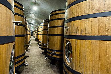 PS将一直专注于剧情单人游戏 也会投身持续服务型